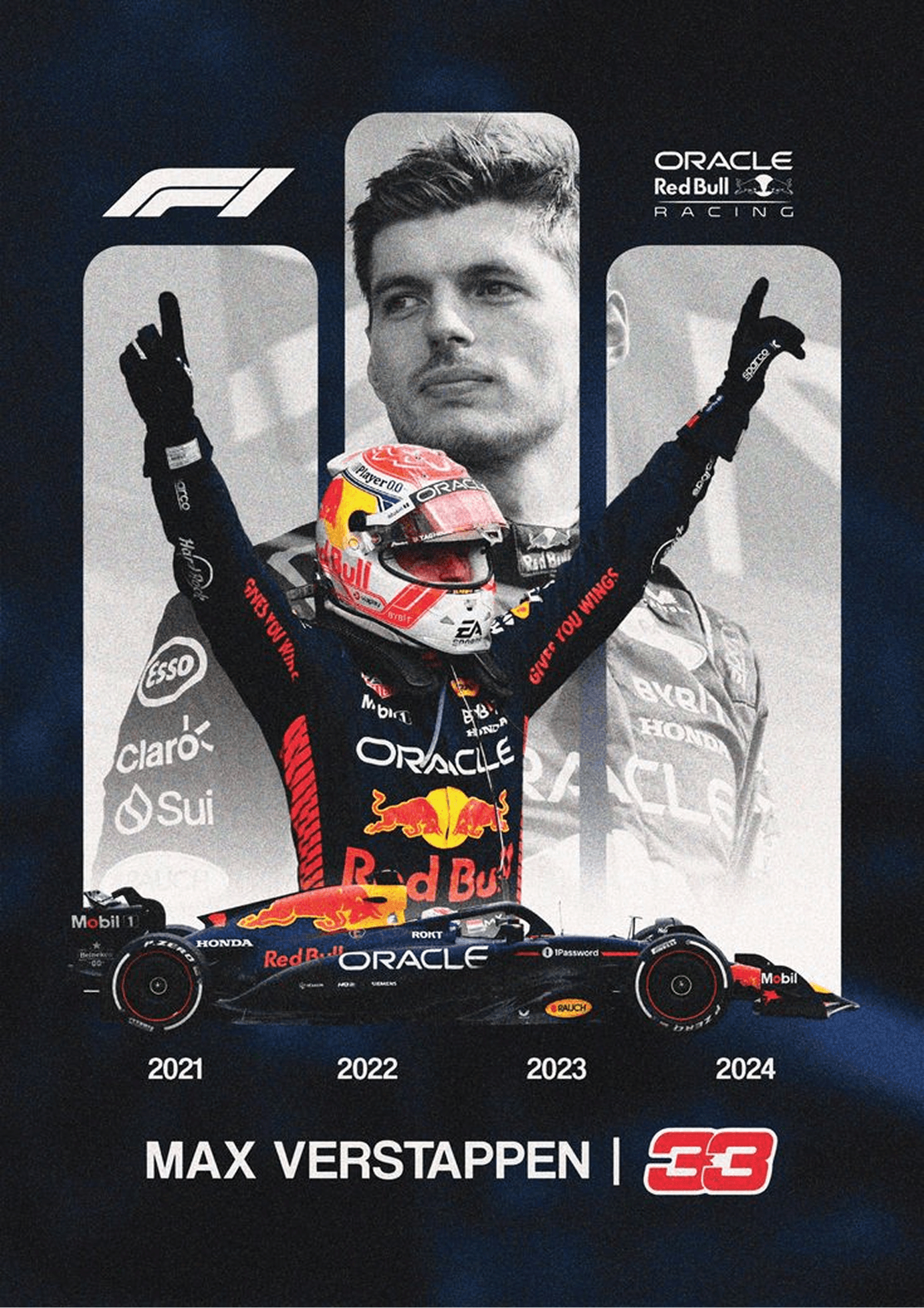 Aston Martin banner 2